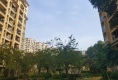 阳光马德里南区户型图实景图