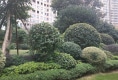 唐程御品户型图实景图