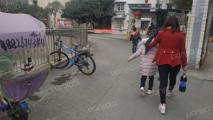 狮王华府外景图