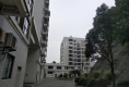 金山瑞景户型图实景图