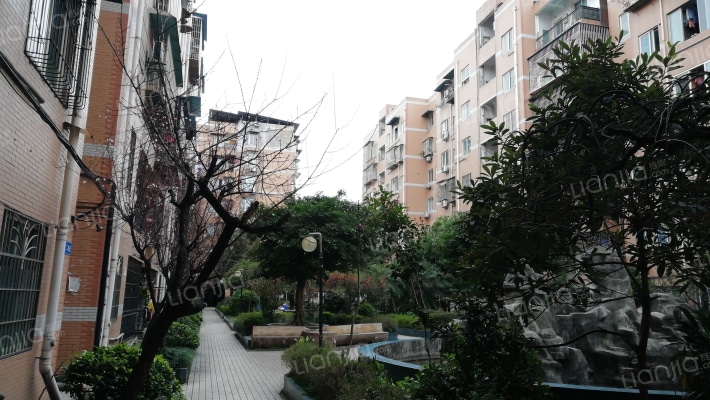 东科名都外景图