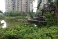 锦绣山河一期户型图实景图