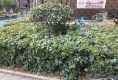 长溪蓝庭户型图实景图