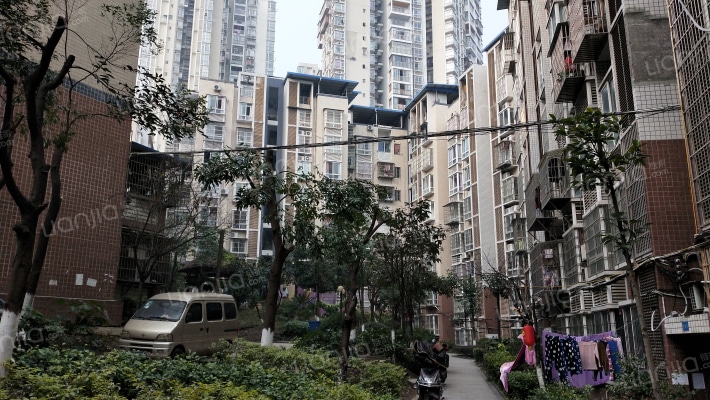 竞地阳光外景图