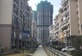 碧阳国际城小区户型图实景图