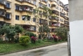 花园新村户型图实景图