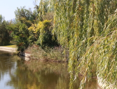 天逸海湾实景图