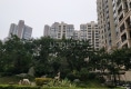 湖林松景户型图实景图