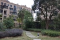 东泰华府户型图实景图