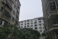 金凤居户型图实景图