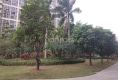 御景豪园户型图实景图