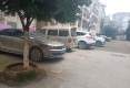 嘉南林苑户型图实景图