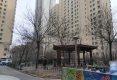 和政家园户型图实景图