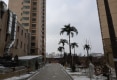 雪羚水岸花都小区户型图实景图