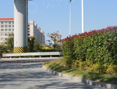 天逸海湾实景图