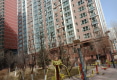 夏都府邸南区户型图实景图
