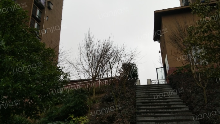 凤城天街外景图