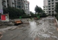 白金府邸户型图实景图