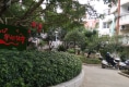 阳春社区户型图实景图