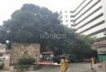 中源花园户型图实景图
