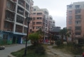 彩虹小区户型图实景图
