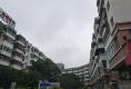 金城花苑户型图实景图