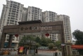金山雅筑户型图实景图