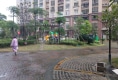 幸福里九号户型图实景图