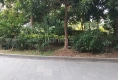 荣宏外滩户型图实景图