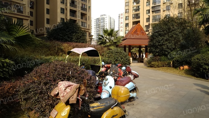 鹭岛之星外景图