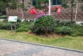 长溪蓝庭户型图实景图