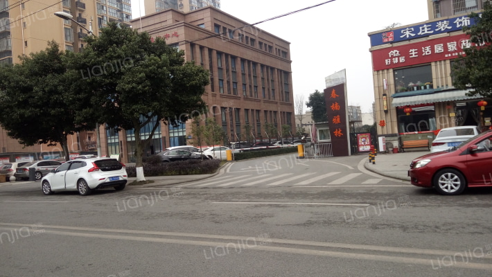 春楠雅林外景图