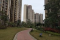 中集国际城五期户型图实景图