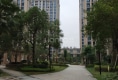 中融中央公馆户型图实景图