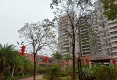 金河湾户型图实景图