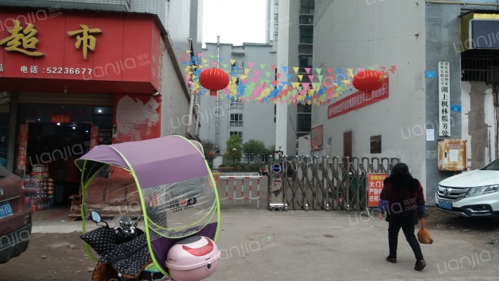 湖上枫林外景图