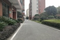 信步贤庭户型图实景图
