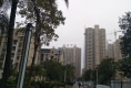 金港名都E区户型图实景图