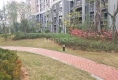 碧城云庭户型图实景图