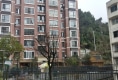 东城书香户型图实景图