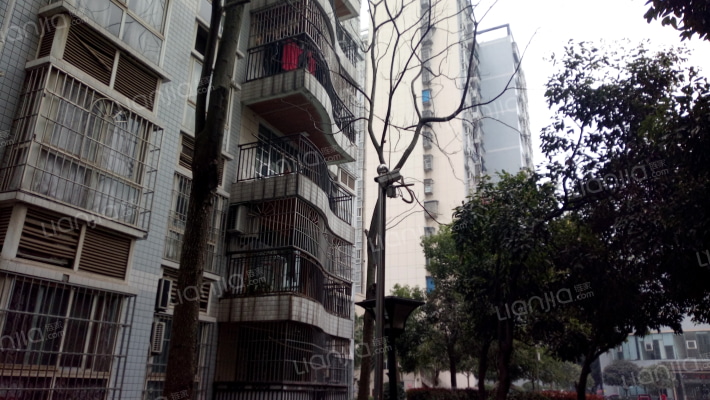 蓝垭丽都外景图