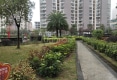 鸿福豪门户型图实景图