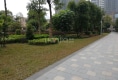 一米阳光户型图实景图