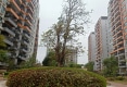 天河湾金景园户型图实景图