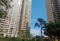 万山香悦四季户型图实景图