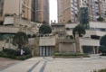 卧龙大都会一期户型图实景图