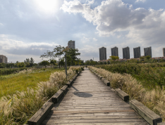 湖畔天下实景图