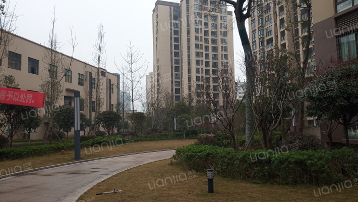 龙迈时尚鑫街外景图