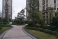 宝信郦景阳光户型图实景图
