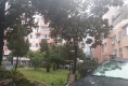 玉祥花苑户型图实景图